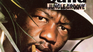 Image of JUNGLE